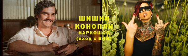 прущие крисы Белокуриха