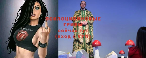 прущие крисы Белокуриха
