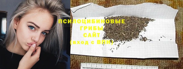 прущие крисы Белокуриха
