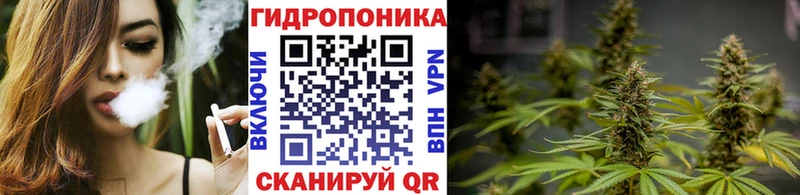 Канабис MAZAR Дагестанские Огни